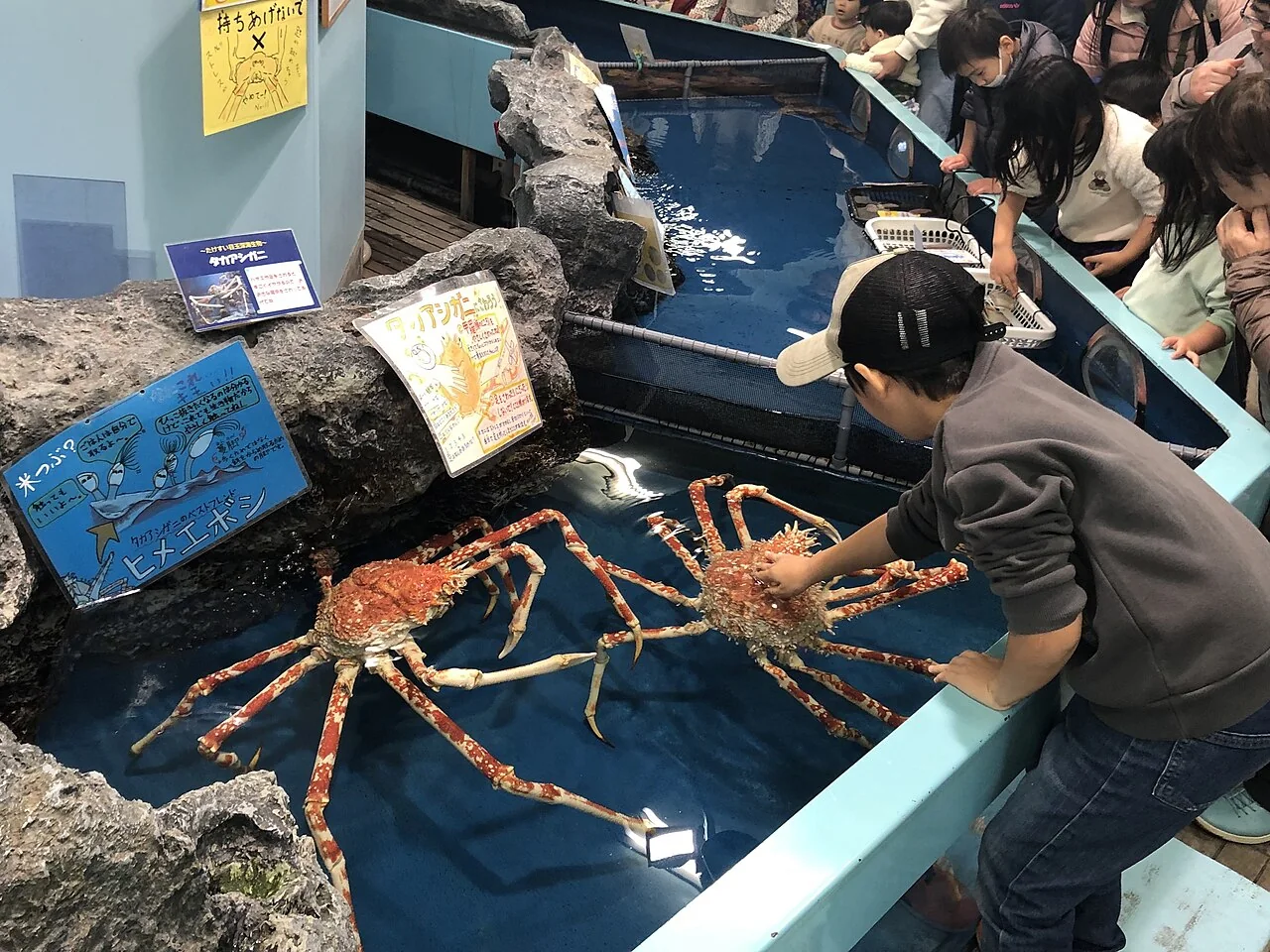 水族館と海辺を楽しむのイメージ