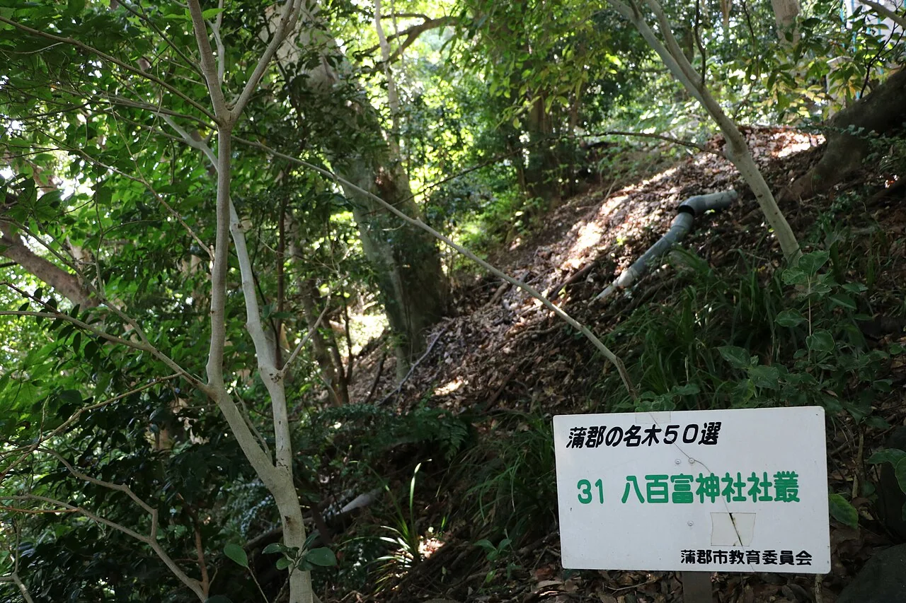 八百富神社の社叢に続く参道